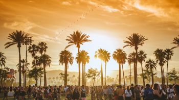 Coachella Festival 2014
