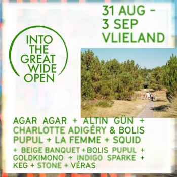 Into The Great Wide Open Festival 2023 Artwork
